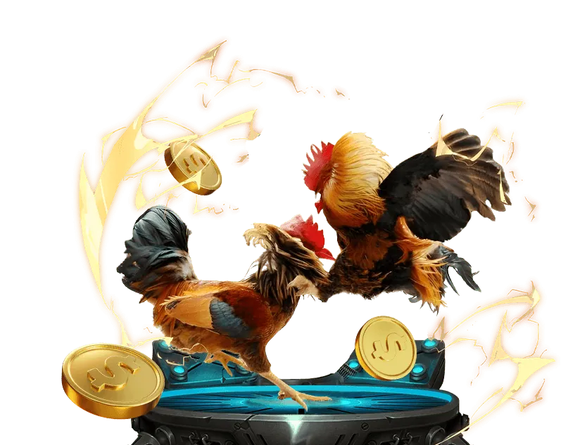 Giao diện cá cược đá gà trực tuyến